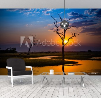 Picture of Elephants in Chobe National Park - Botswana